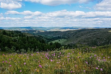 Сохранить природные богатства родного края